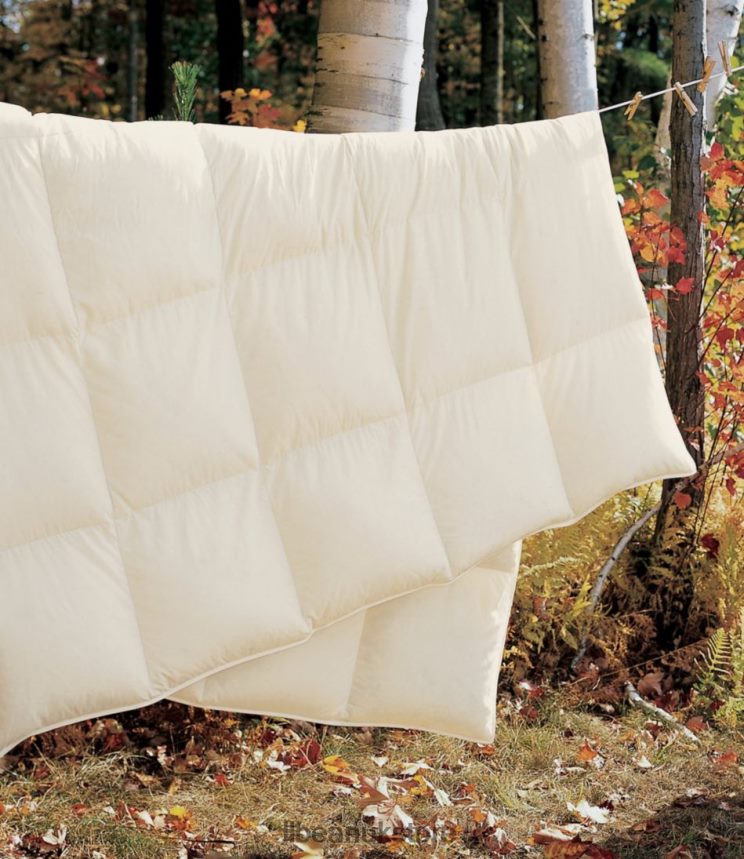 Bedding L.L.Bean Box-Stitch Goose Down Comforter Cream Unisex 0VRR662833