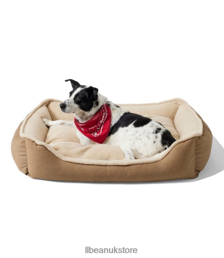 Home Goods L.L.Bean Premium Cuddler Bolster Dog Bed Platinum Unisex 0VRR663946