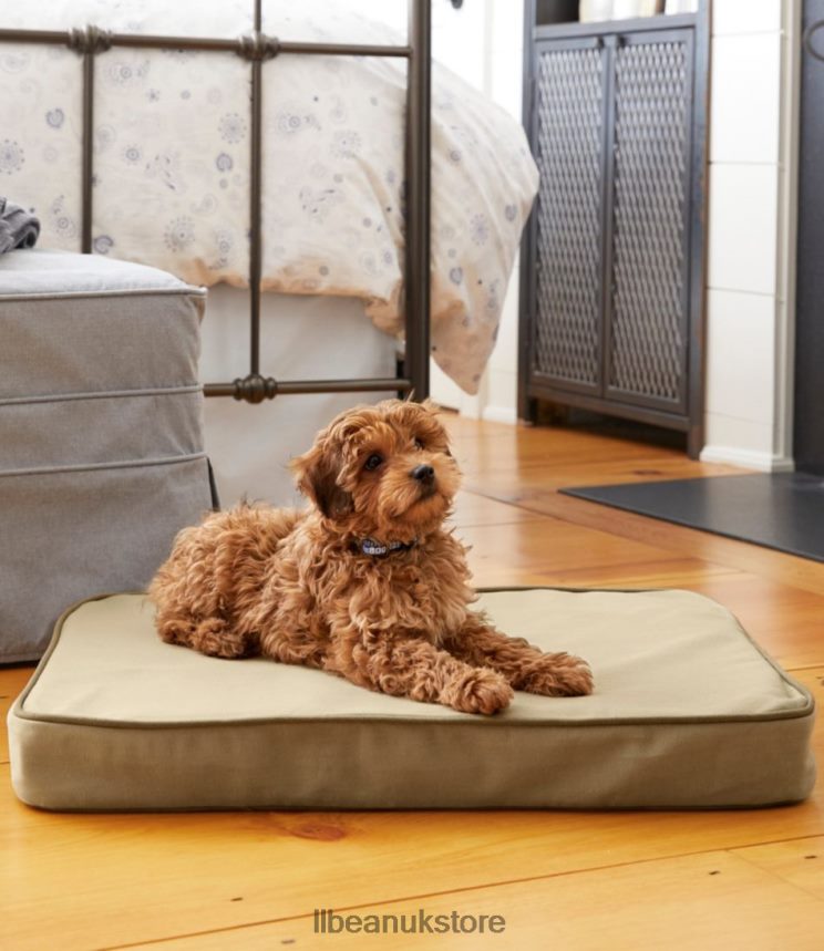 Home Goods L.L.Bean Therapeutic Dog Bed Rectangular Burlap Unisex 0VRR661380