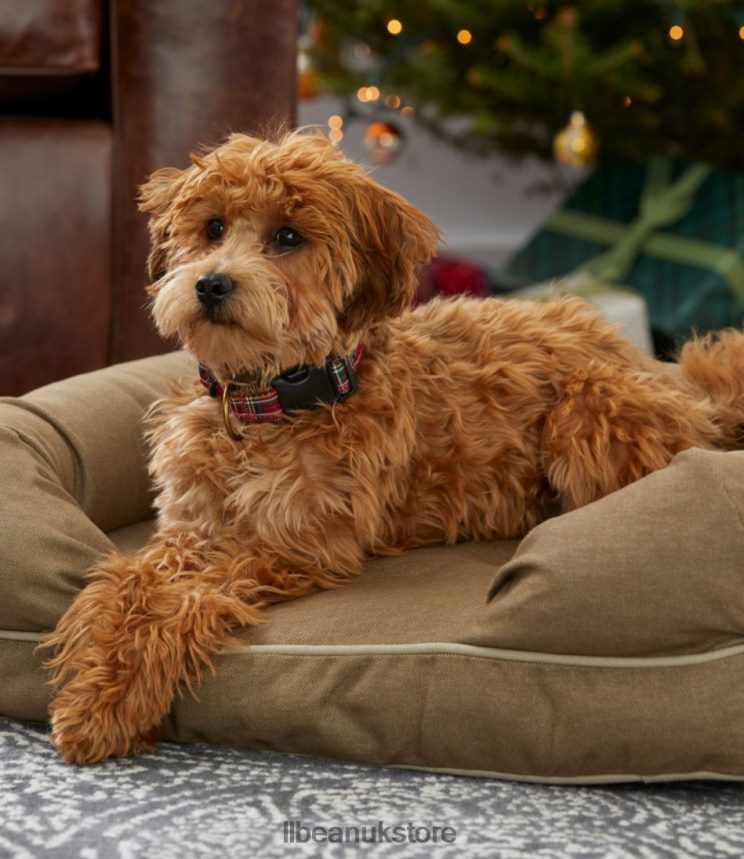 Home Goods L.L.Bean Therapeutic Dog Couch Platinum Unisex 0VRR665252