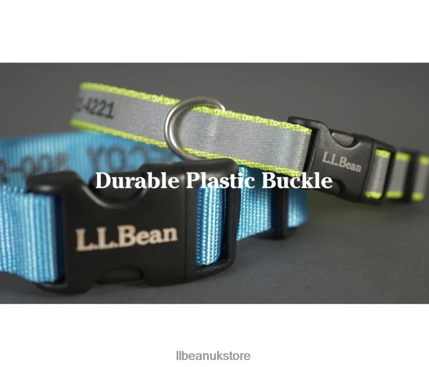 Home Goods L.L.Bean Personalized Pet Collar Reflective Lime Unisex 0VRR661405