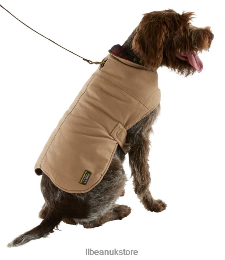 Home Goods L.L.Bean Reversible Field Coat for Dogs Olive Unisex 0VRR663874