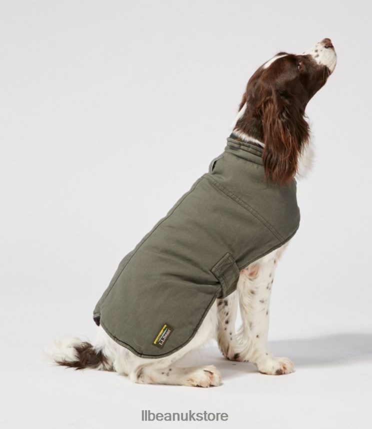 Home Goods L.L.Bean Reversible Field Coat for Dogs Saddle Unisex 0VRR661273