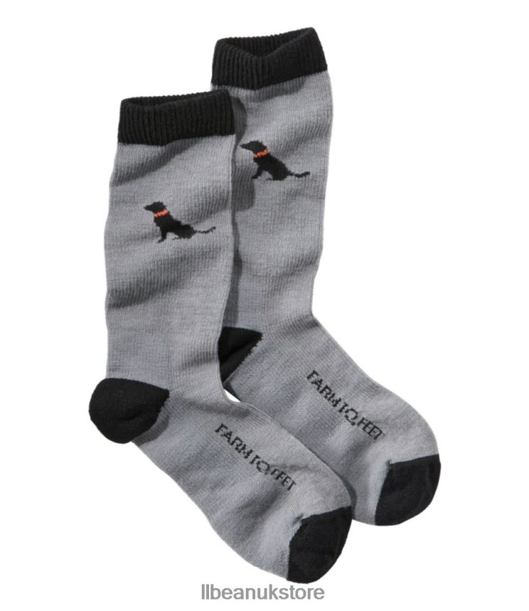 Footwear L.L.Bean Farm to Feet Sunderland Crew Socks Black Lab Kids 0VRR66619
