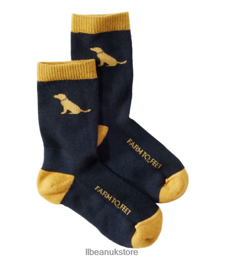 Footwear L.L.Bean Farm to Feet Sunderland Crew Socks Yellow Lab Kids 0VRR663463