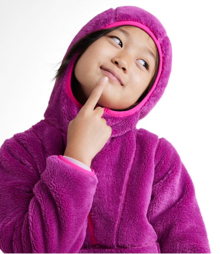 Outerwear L.L.Bean Hi-Pile Fleece Hooded Pullover Wild Aster Kids 0VRR66652