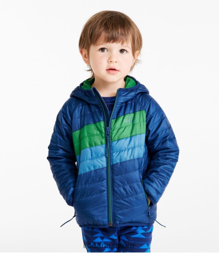 Outerwear L.L.Bean Primaloft Hooded Jacket Collegiate Blue/Lawn Green Kids 0VRR663694