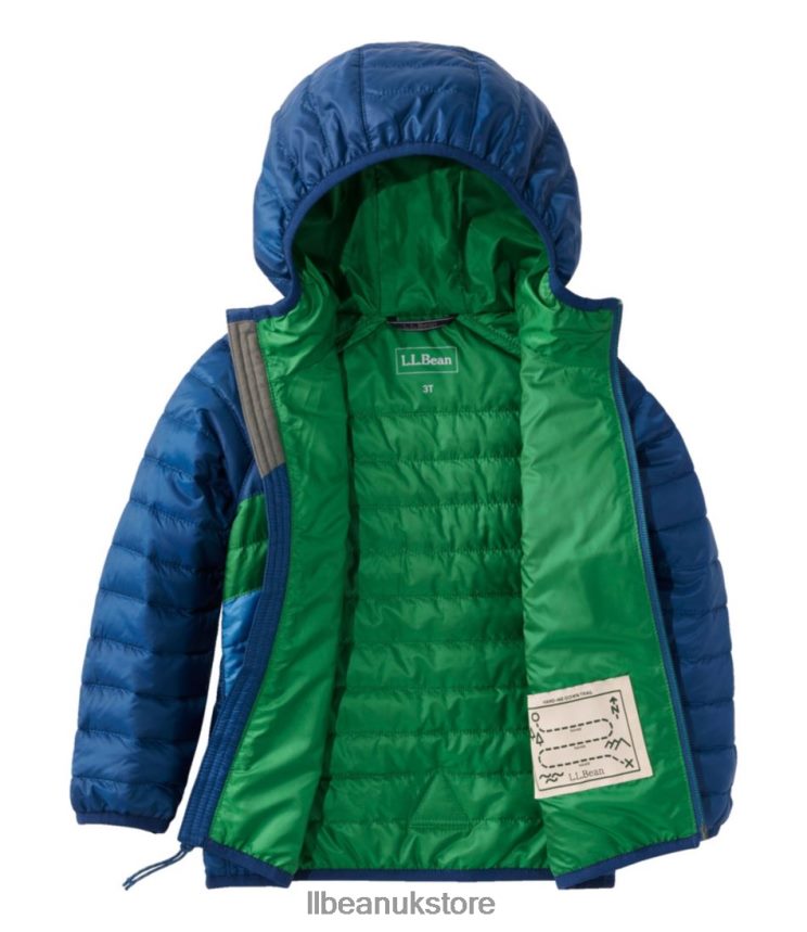 Outerwear L.L.Bean Primaloft Hooded Jacket Collegiate Blue/Lawn Green Kids 0VRR663694