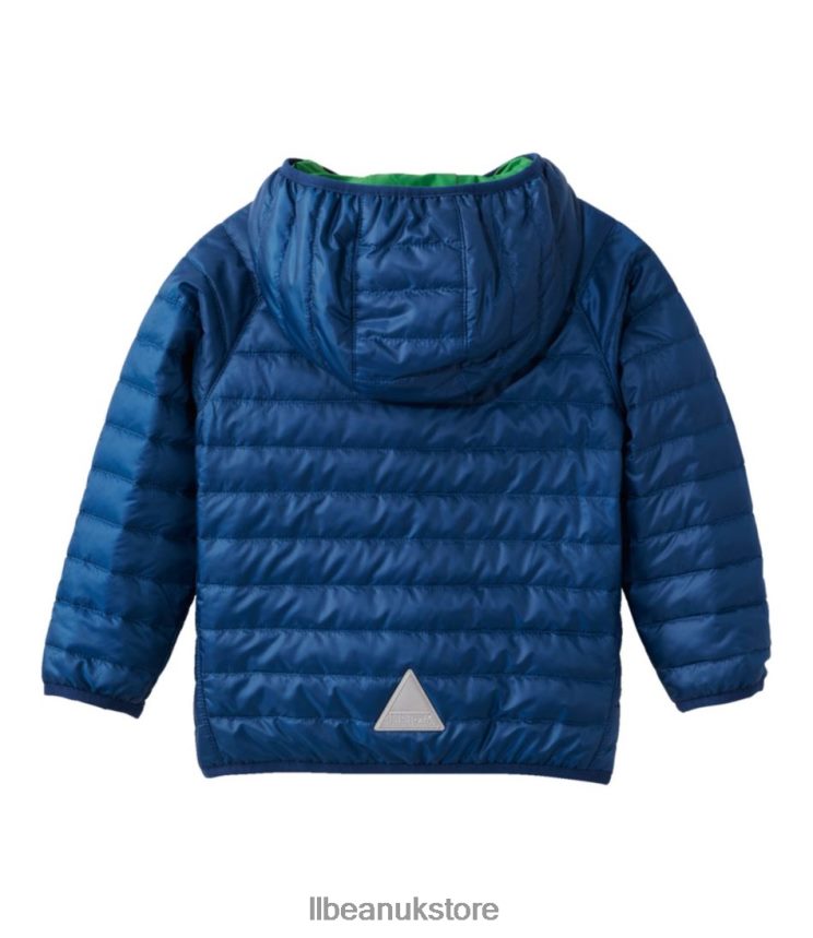 Outerwear L.L.Bean Primaloft Hooded Jacket Collegiate Blue/Lawn Green Kids 0VRR663694