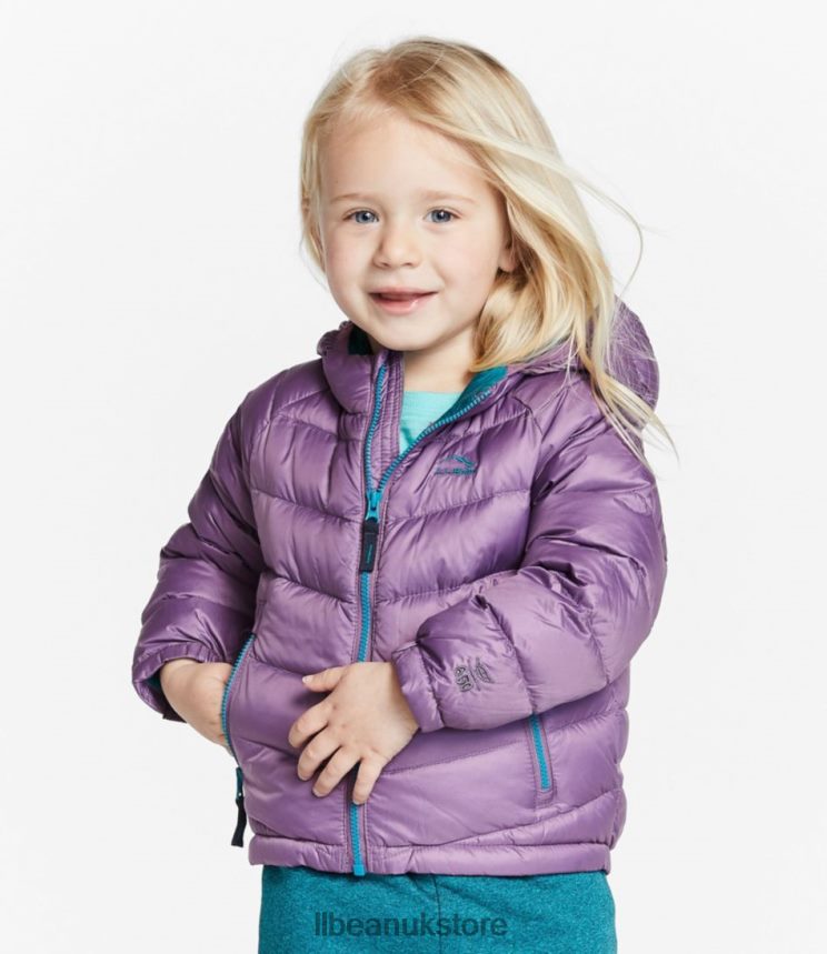 Outerwear L.L.Bean Infants' and Toddlers' Ultralight 650 Down Jacket Carbon Navy Kids 0VRR663640