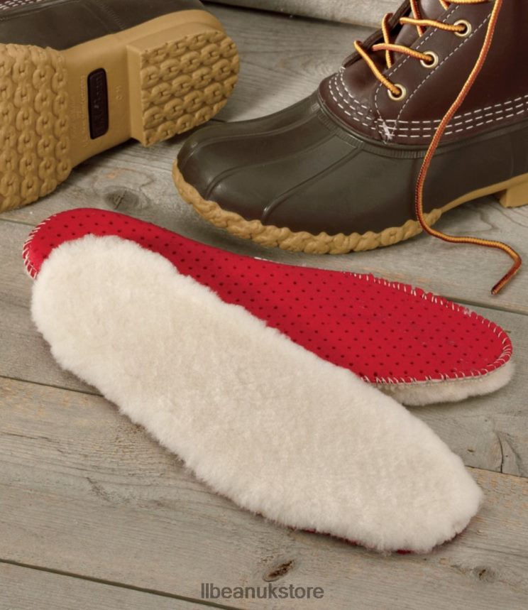 Accessories L.L.Bean Shearling Insoles Graphite Men 0VRR661037