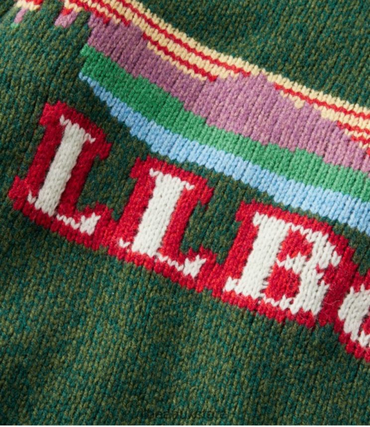 Clothing L.L.Bean Classic Ragg Wool Sweater Forest Shade Katahdin Men 0VRR663415