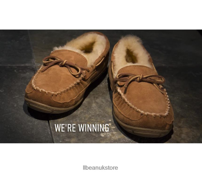 Footwear L.L.Bean Wicked Good Moccasins Chocolate Brown Men 0VRR667061
