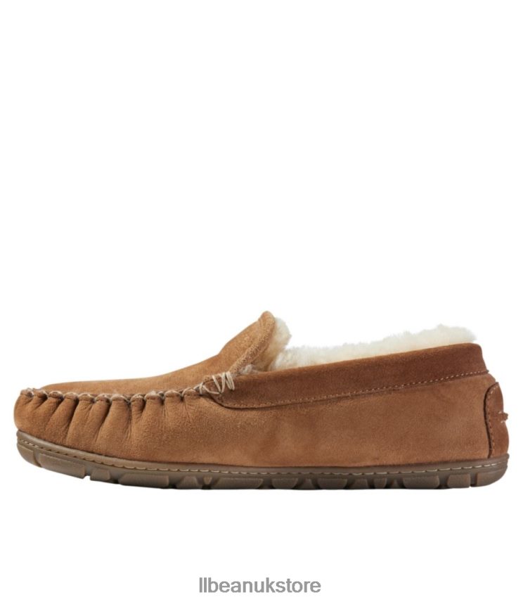 Footwear L.L.Bean Wicked Good Slippers Black Spruce/Chocolate Men 0VRR665150
