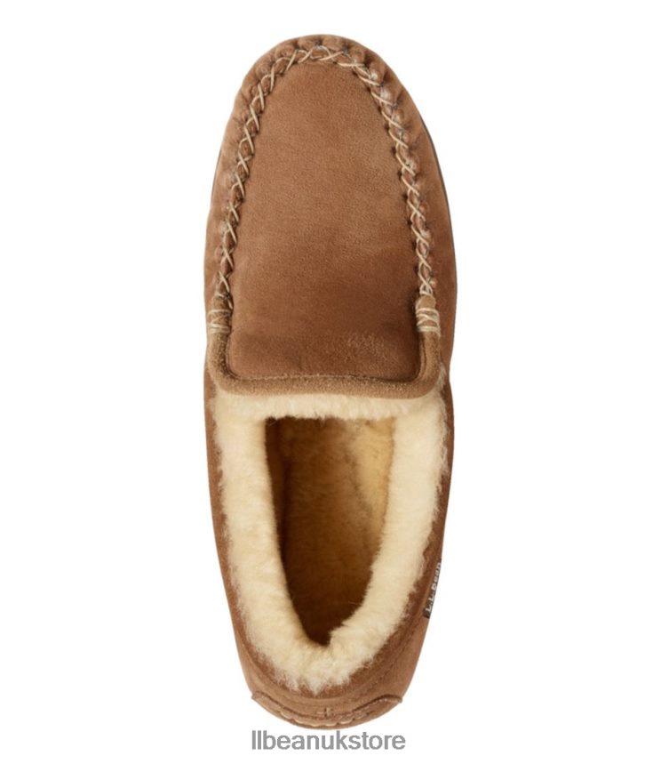 Footwear L.L.Bean Wicked Good Slippers Black Spruce/Chocolate Men 0VRR665150