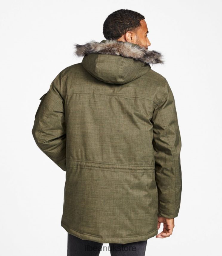Outerwear L.L.Bean Baxter State Parka Kelp Green Heather Men 0VRR665105