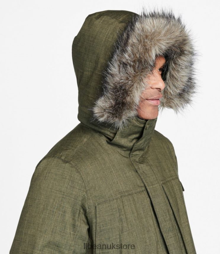 Outerwear L.L.Bean Baxter State Parka Kelp Green Heather Men 0VRR665105