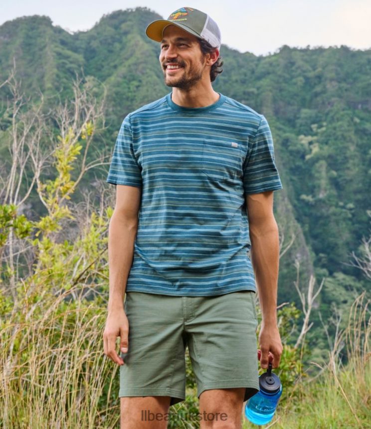 Clothing L.L.Bean Explorer Tee Dark Teal Blue Stripe Men 0VRR66423