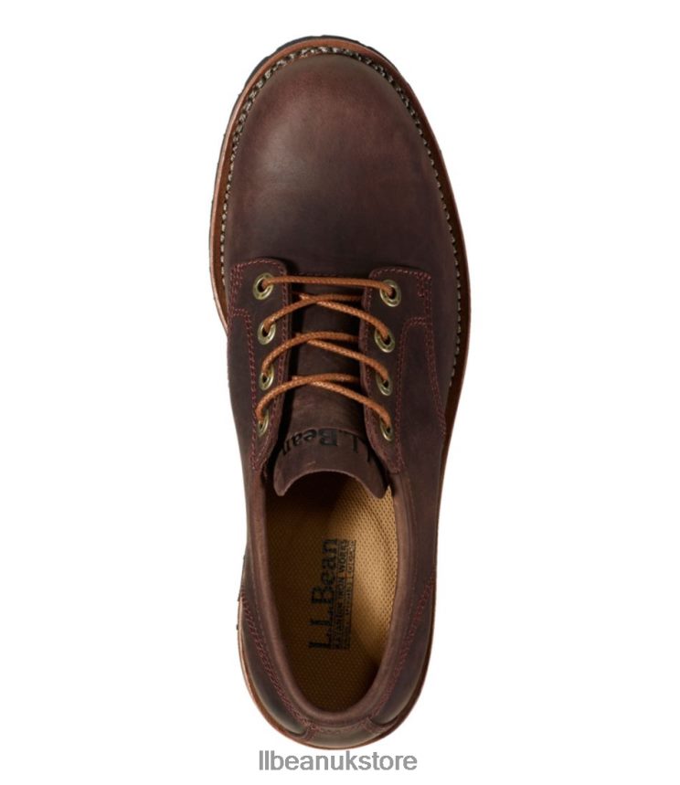 Footwear L.L.Bean Bucksport Shoes Dark Cocoa Men 0VRR663761