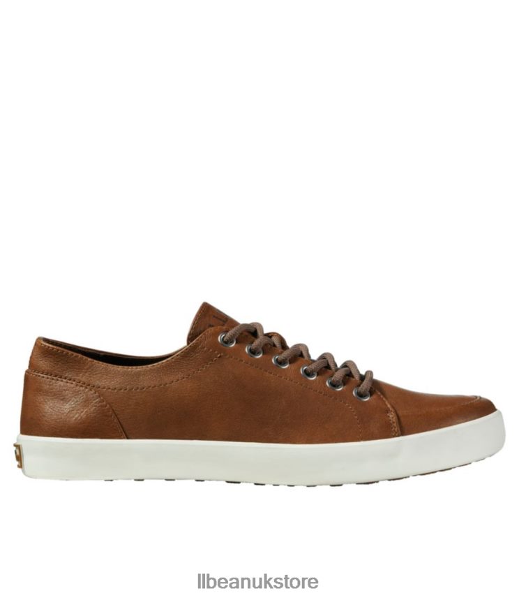 Footwear L.L.Bean Mountainville Shoes Dark Cocoa Men 0VRR663775