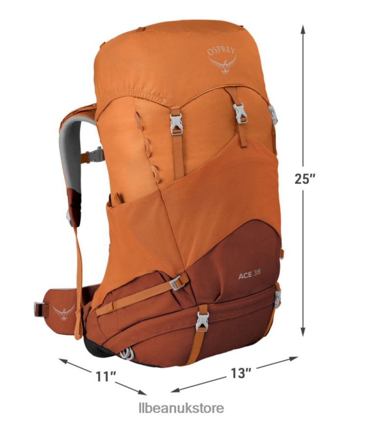 Outdoor Equipment L.L.Bean Osprey Ace 38 Pack Sunset Orange Unisex 0VRR661664