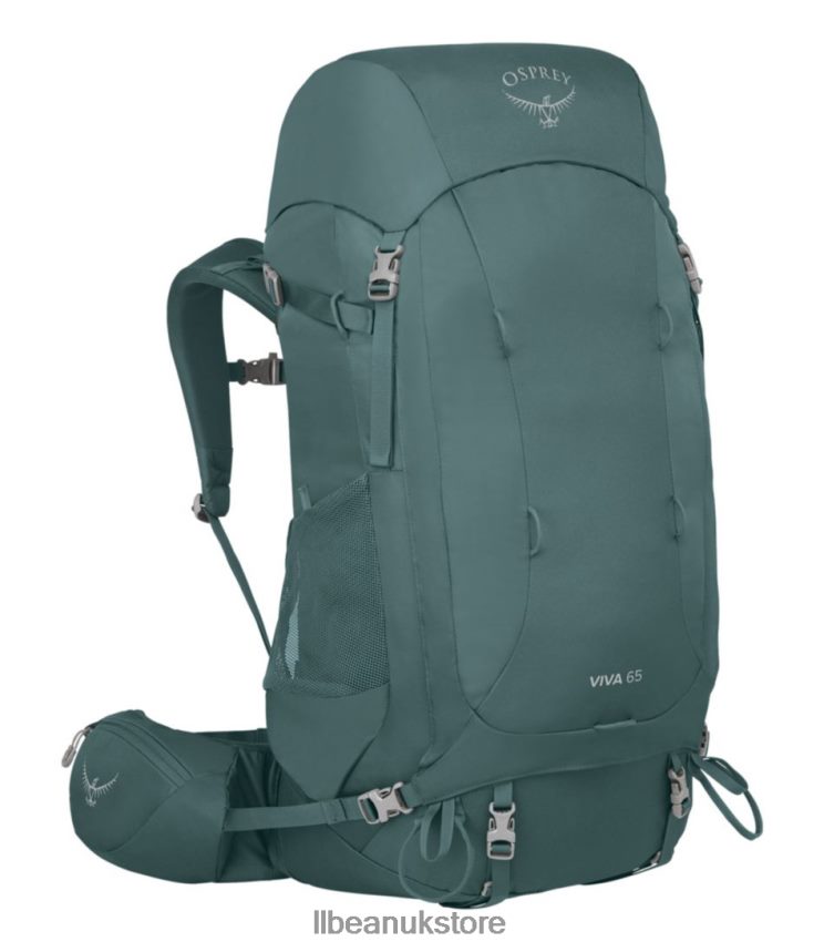 Outdoor Equipment L.L.Bean Osprey Viva 65 EF Expedition Pack Succulent Green Unisex 0VRR662213