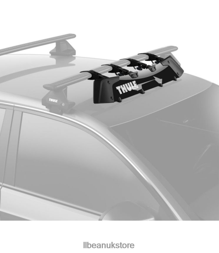 Outdoor Equipment L.L.Bean Thule AirScreen XT Black Unisex 0VRR661780