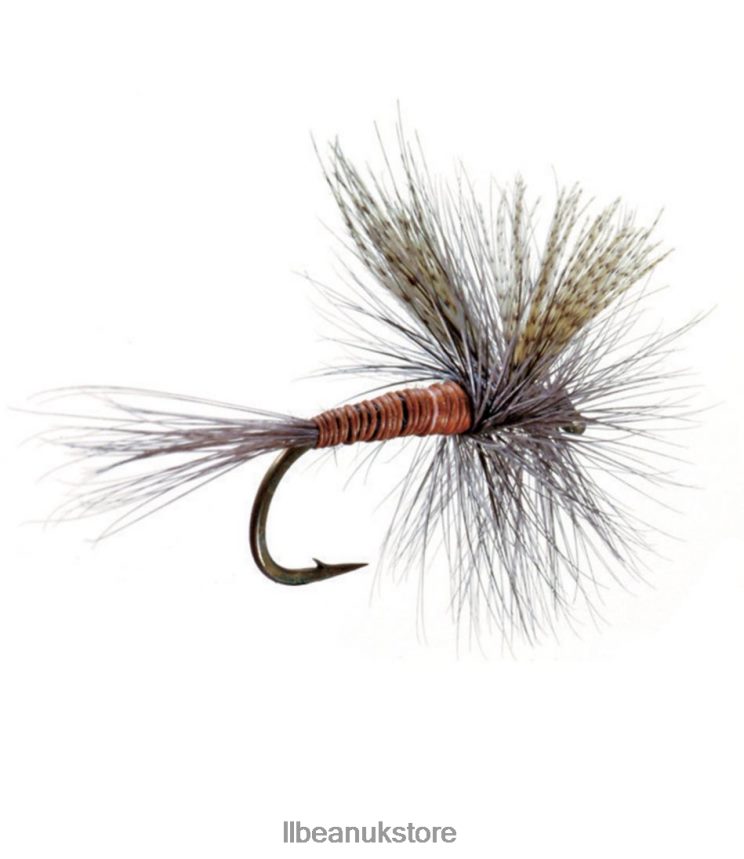 Fishing L.L.Bean Dry Flies 2 Pack Red Quill Unisex 0VRR662278