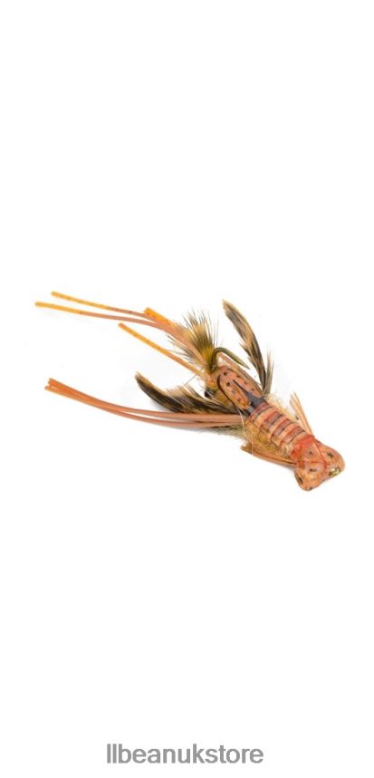 Fishing L.L.Bean Hada's Creek Crawler Dirty Orange Unisex 0VRR665376