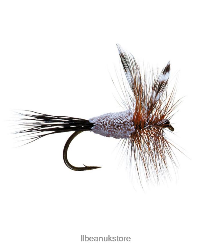 Fishing L.L.Bean Irresistible Adams Unisex 0VRR662034