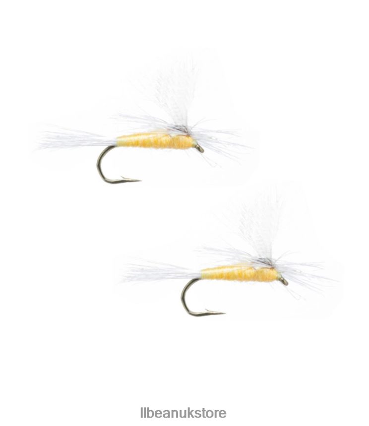 Fishing L.L.Bean Parachute 2 Pack Sulfur Unisex 0VRR662008