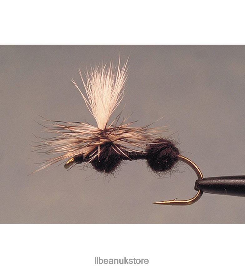 Fishing L.L.Bean Parachute Ant Schroeder's 2 Pack Black Unisex 0VRR662097