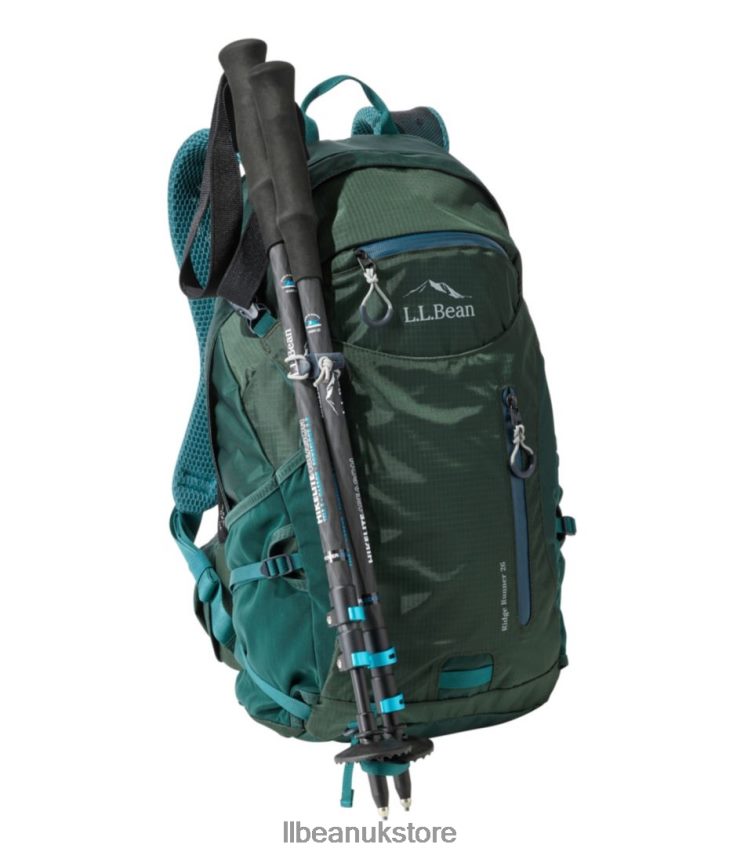 Outdoor Equipment L.L.Bean Hikelite 4 Season Carbon Compact Hiking Poles Carbon Matte/Blue Transparent Unisex 0VRR661411