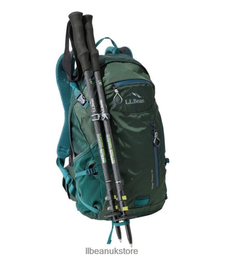 Outdoor Equipment L.L.Bean Hikelite Four-Season Carbon Hiking Poles Carbon Matte/Green Transparent Unisex 0VRR661610