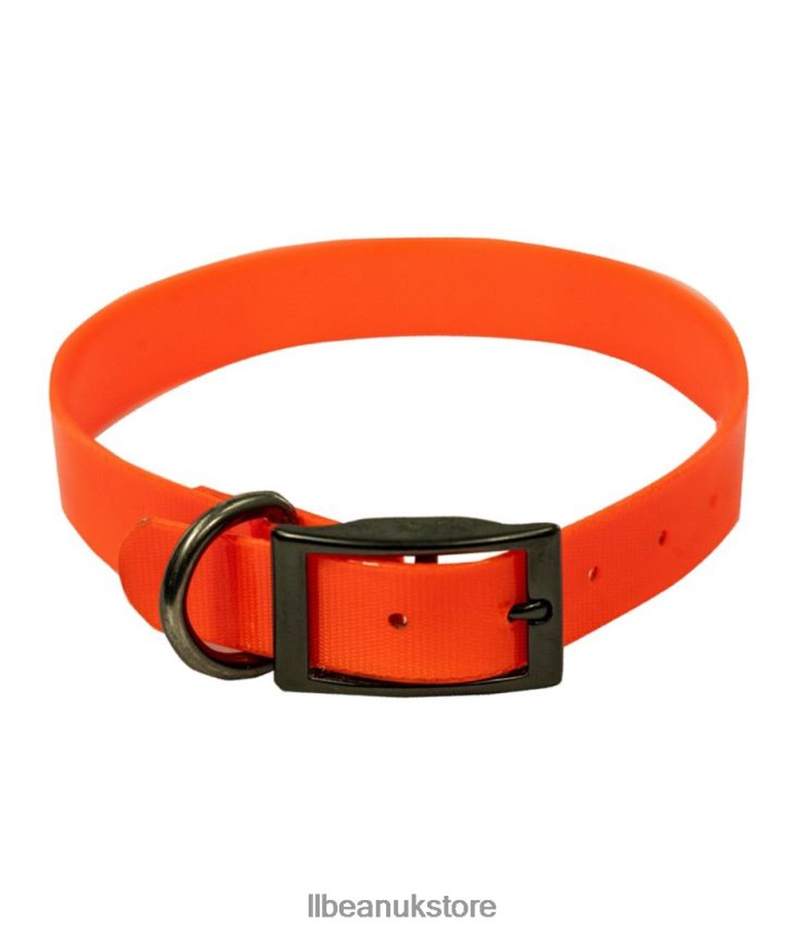 Outdoor Equipment L.L.Bean Boyt Fireflex Dog Collar Blaze Orange Unisex 0VRR664104