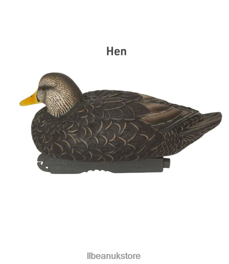 Outdoor Equipment L.L.Bean Avery Pro-Grade Decoys 6-Pack Black Duck Unisex 0VRR662307
