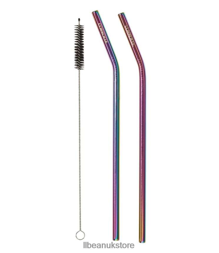 Outdoor Accessories L.L.Bean Corkcicle Straw Two-Pack Prism Unisex 0VRR664105
