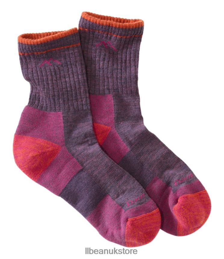 Accessories L.L.Bean Darn Tough Micro-Crew Cushion Socks Plum Women 0VRR663360