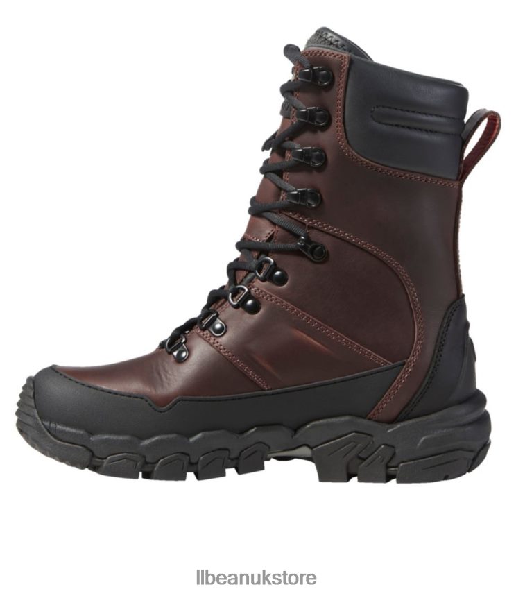 Footwear L.L.Bean Maine Warden's Field Boot Deepest Brown Women 0VRR661147