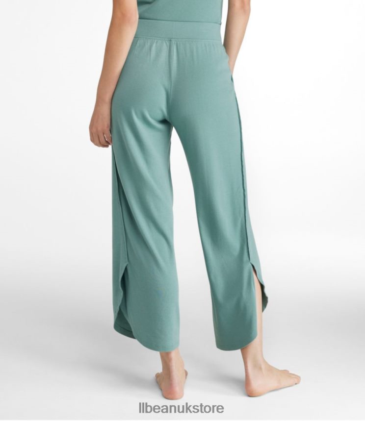Clothing L.L.Bean Restorative Sleepwear Sleep Pants Light Gray Heather Women 0VRR665795