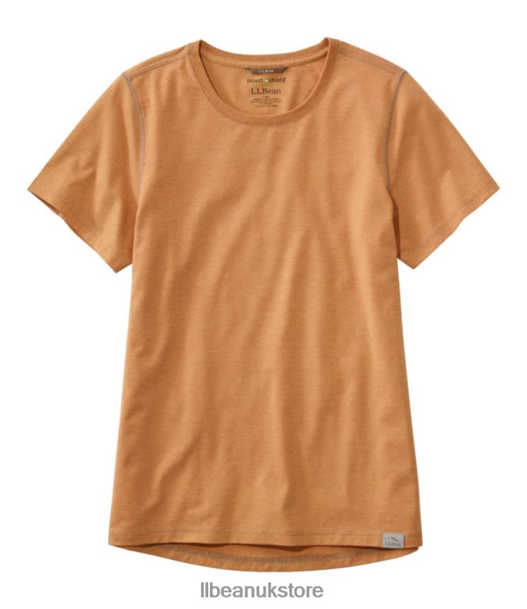 Clothing L.L.Bean Insect Shield Field Tee Dark Amber Women 0VRR666131