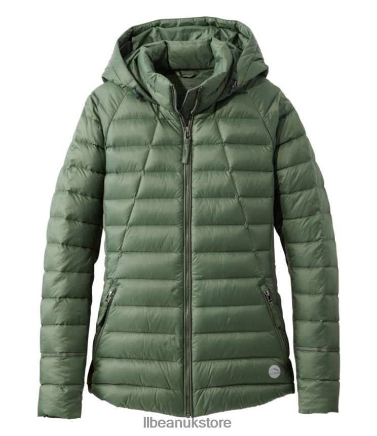 Outerwear L.L.Bean Boundless Down Hybrid Jacket Thyme Women 0VRR663646