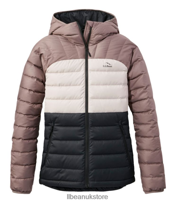 Outerwear L.L.Bean Down Hooded Jacket Black/Taupe Brown Women 0VRR66857