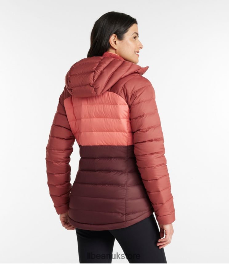 Outerwear L.L.Bean Down Hooded Jacket Nautical Navy/Bright Bronze Women 0VRR663623
