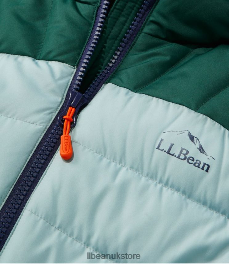 Outerwear L.L.Bean Down Hooded Jacket Nautical Navy/Sugarplum Women 0VRR665093