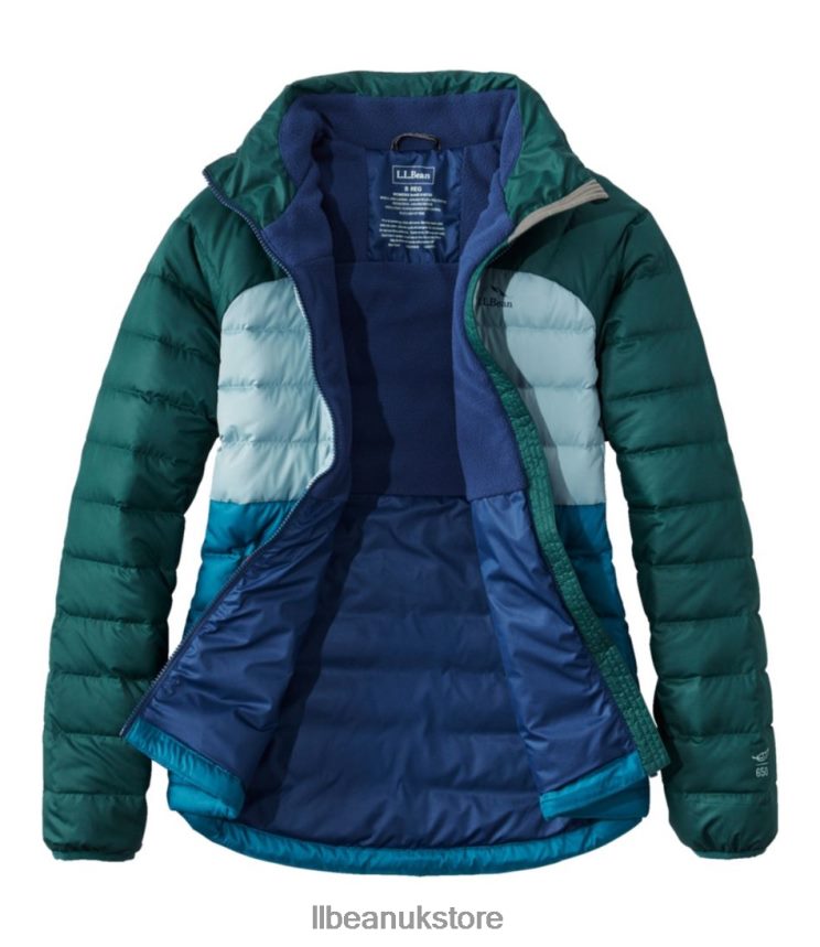 Outerwear L.L.Bean Down Jacket Nautical Navy/Sugarplum Women 0VRR665125