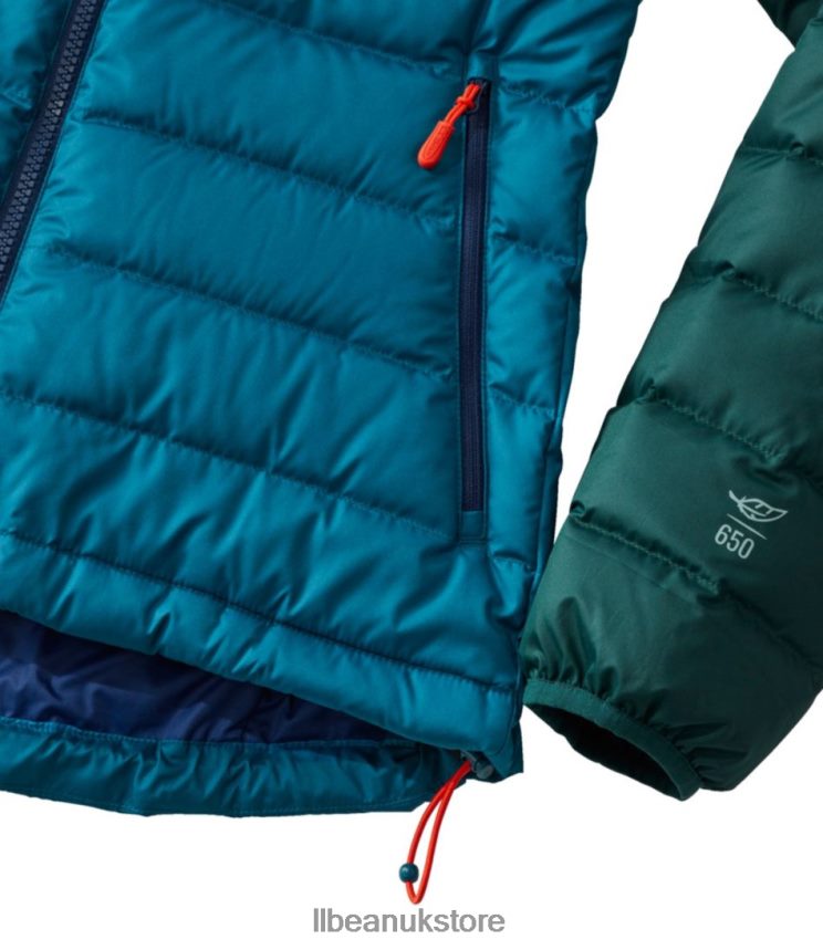 Outerwear L.L.Bean Down Jacket Vintage Indigo/Mineral Blue Women 0VRR666070